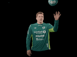 Celebration GIF by Elverum Handball