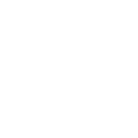 FITURE US Sticker