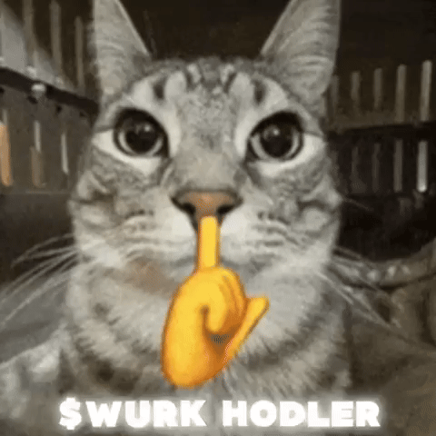 Meme GIF