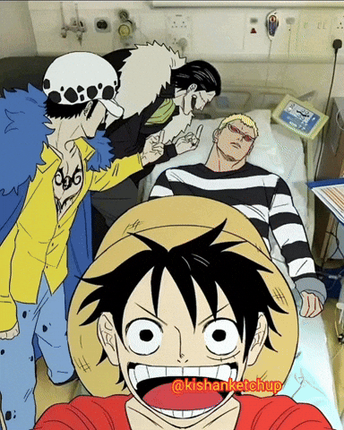 One Piece Selfie GIF