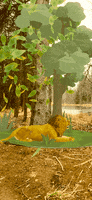200.gif?cid=fc005b0895bd6605b0adbbefdacf77e8804c5888b8d8d8f3&rid=200.gif&ct=g