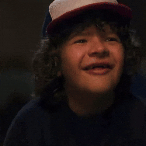 Stranger Things Dustin GIF