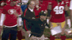 jim harbaugh