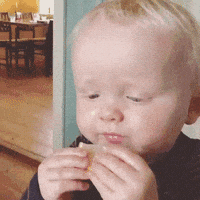 funny baby reaction gifs