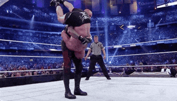 wrestlemania 30 wrestling GIF by WWE