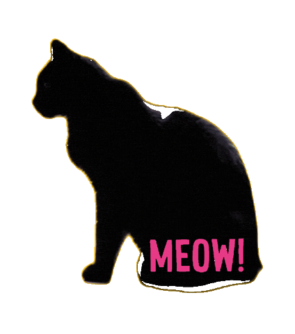 Black Cat Sticker