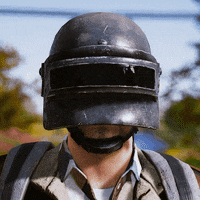 Video Game Yes GIF by PUBG Battlegrounds