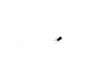 Super bug nasty!
