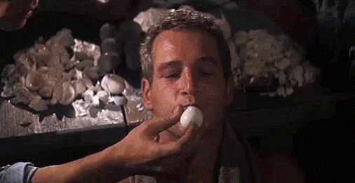 Paul Newman Egg GIF - Find & Share on GIPHY