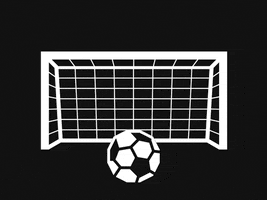 Football Goal GIF by Sofascore
