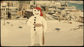 Carnaval de Québec GIF