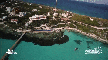 isla mujeres sea GIF by Dolphin Discovery
