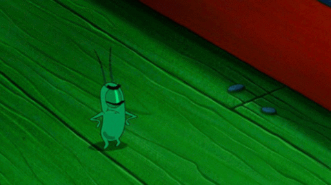 plankton