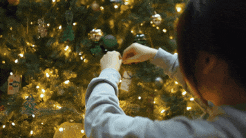 Decorating Christmas Tree GIF by University of Regina