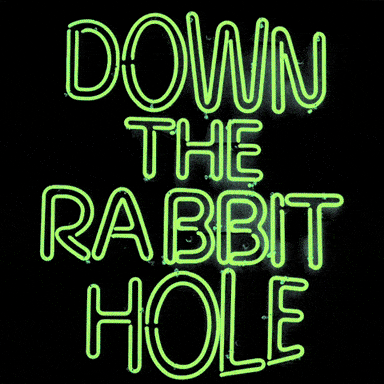rabbit-holed meme gif