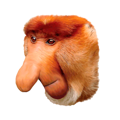 Mitty Motion Sticker