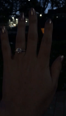 jaz_butterfly  GIF