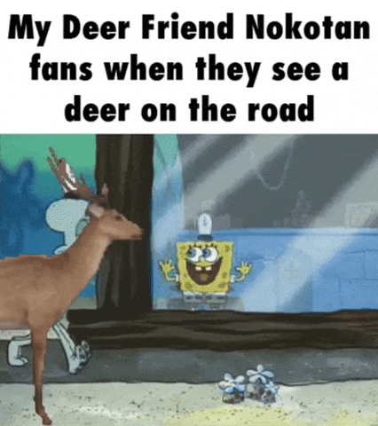Deer Noko GIF