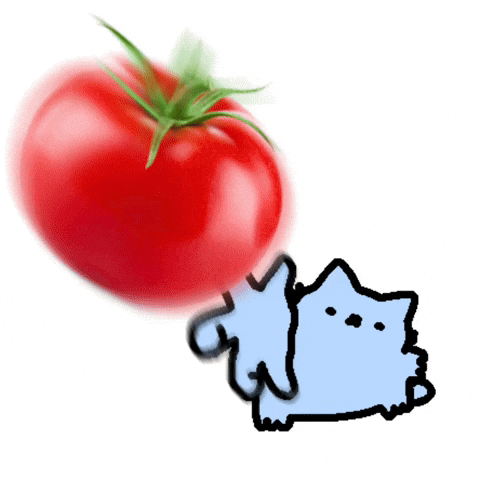 Cat Throwing GIF by sillynub