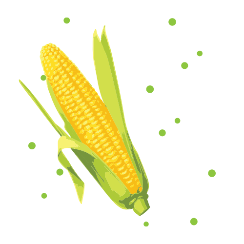 Corn On The Cob Sticker by Meredith College