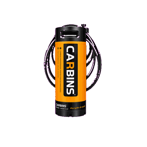 Carbins USA Sticker