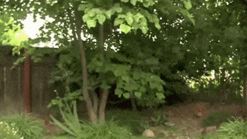 bethany mota beth GIF