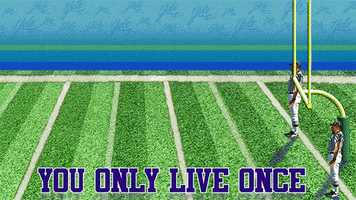 You Only Live Once Game GIF by Yolo Rum