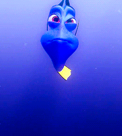 Nemo GIF - Find & Share on GIPHY