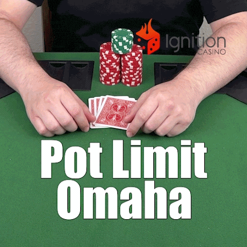 Card Game Poker GIF by Ignition Casino