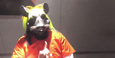 Rat No GIF