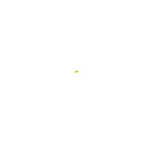 Panthers Birmingham Sticker by Birmingham-Southern Athletics