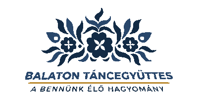 Neptanc Siofok Sticker by balatontancegyuttes