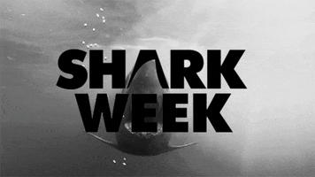 Shark Week GIF