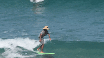 We Surf Camps GIF