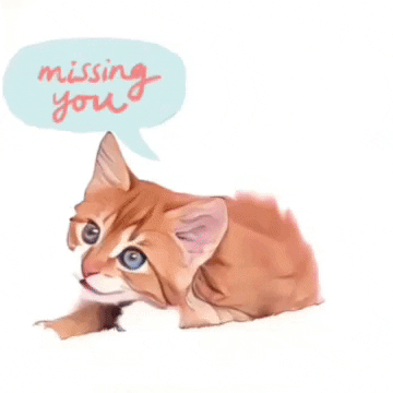 I Love You Kitten GIF by The3Flamingos
