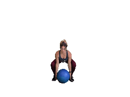 Fitness Gym Sticker by Crossfitfabriek