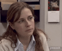 Season 1 Facepalm GIF by The Office