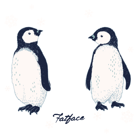 FatFace Sticker