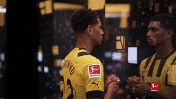 Dortmund Bellingham GIF by Bundesliga