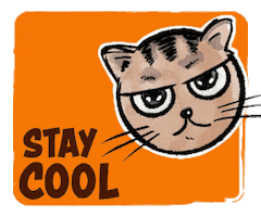 Cat Sticker