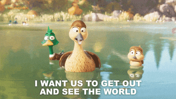 MigrationMovie travel vacation duck marriage GIF