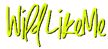 Style Wildstyle Sticker by HMC Rental