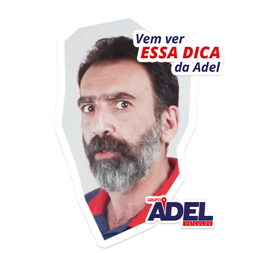 Adel Veículos Sticker