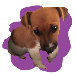 Green Energy Cobra Sticker by BESTeas