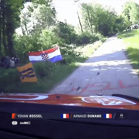 Lawnmowing Driving GIF by FIA World Rally Championship