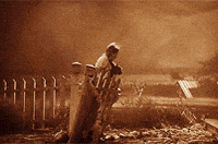 Wizard Of Oz Gifs Get The Best Gif On Giphy Wizard Of Oz Gifs Get The Best Gif On Giphy