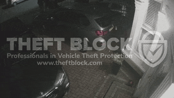 theftblock GIF