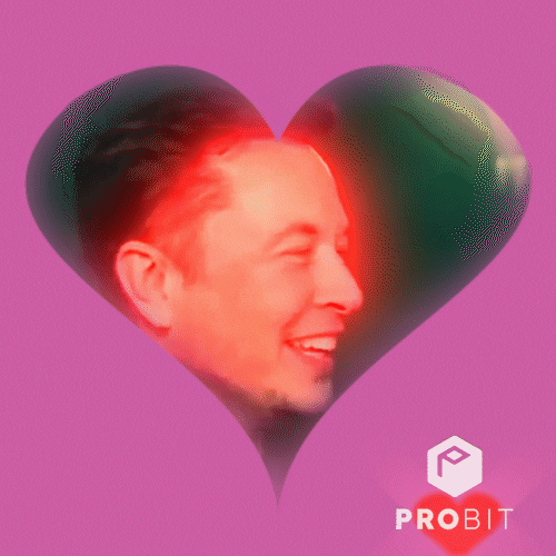 Invest Elon Musk GIF by ProBit Exchange thumbnail