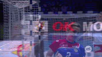 happiness russia GIF by EHF