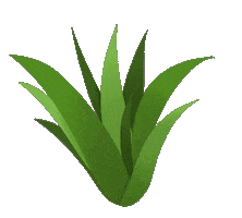 Bush Verde Sticker by Terra Nostra